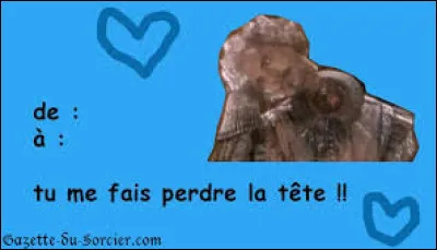 Combien Hermione a-t-elle embrass&eacute; de gar&ccedil;ons ?