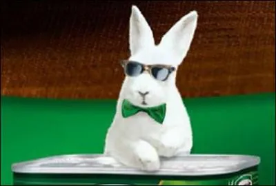 Ce lapin fait de la publicit pour