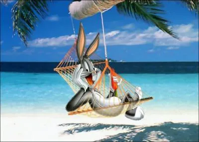 Euh Quoi d'neuf docteur !