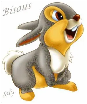 On rencontre ce lapin dans