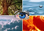 Test Quel �l�ment de la nature te correspond ?