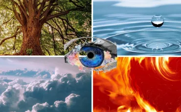 Quiz Test de personnalit�