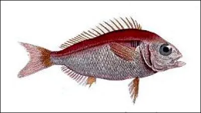 Lequel de ces &eacute;crivains a compos&eacute; un op&eacute;ra ?