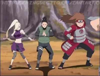 Que pr&eacute;f&egrave;res-tu entre le ninjutsu, le taijutsu ou genjutsu ?