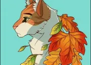 Quiz Qui est ce chat ?