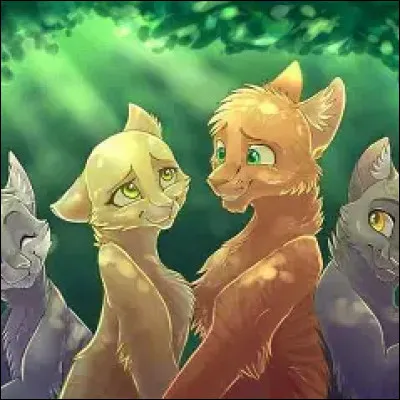 Qui est le chat roux, donc &agrave; droite ?