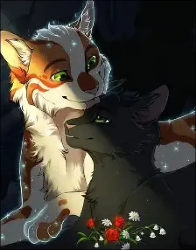 Qui est le chat noir ?