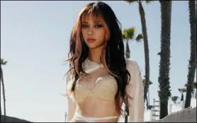 Pour quel film Megan postule-t-elle ?