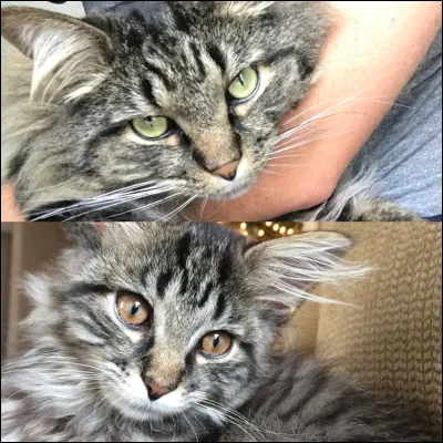 Sauras-tu reconna&icirc;tre son nom d'apprenti et de v&eacute;t&eacute;ran ou de guerrier ?