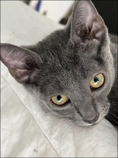 Qui &eacute;taient les apprentis qui ont &eacute;t&eacute; en cours d'apprentissage en m&ecirc;me temps que lui ?