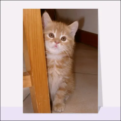 Qui a-t-il eu comme apprenti ?