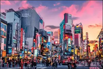 Facile : la capitale du Japon est...