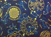 Test Quel est ton chat dans ''La Guerre des clans'' ? (cycle 1)