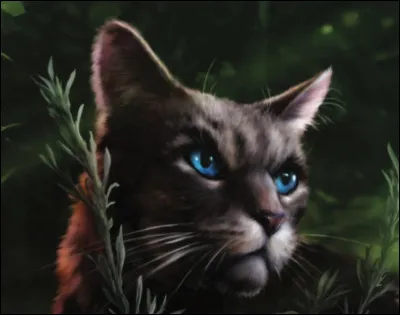 Quel chat pr&eacute;f&egrave;res-tu ?