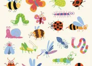 Quiz Les insectes de A � Z