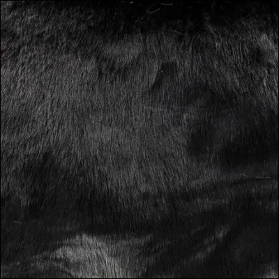 &Agrave; qui appartient ce pelage ?