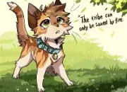 Quiz M�le ou femelle ?