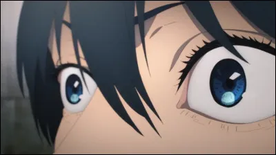 A qui appartiennent ces yeux ?