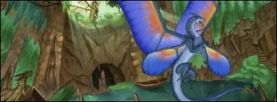 Qui sont les dragons sur cette image ?