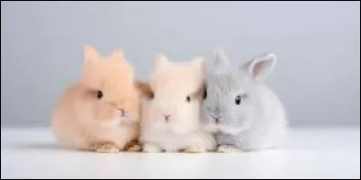 Tu es plut&ocirc;t...