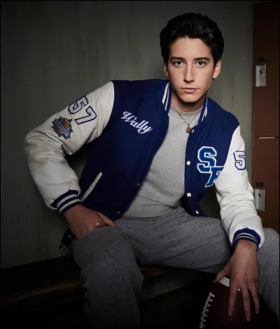 Quelles sont les professions de Milo Manheim ?