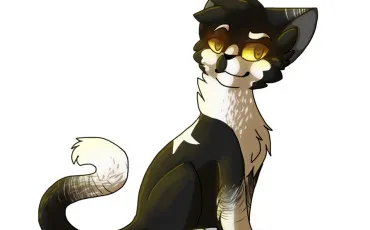 Quiz Litt�rature, po�sie