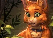 Quiz Quiz sur �toile de Feu