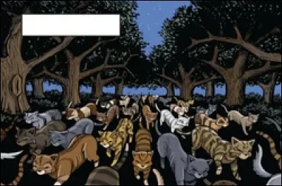 En arrivant autour du lac, leur nouveau territoire, que font les clans ?