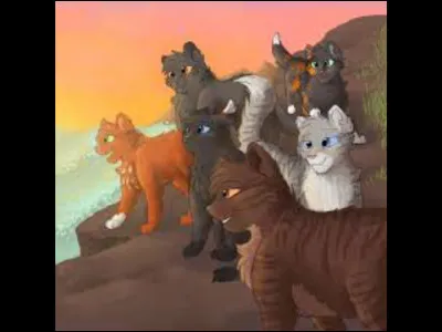 Qui sont les chats choisis par le Clan des &Eacute;toiles pour d&eacute;couvrir une nouvelle for&ecirc;t ? (cycle 2)