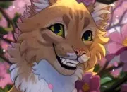 Quiz Nom de guerrier de ce chat