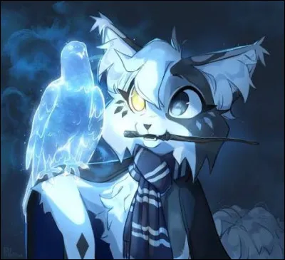 Dans quel livre y a-t-il des sorts ?