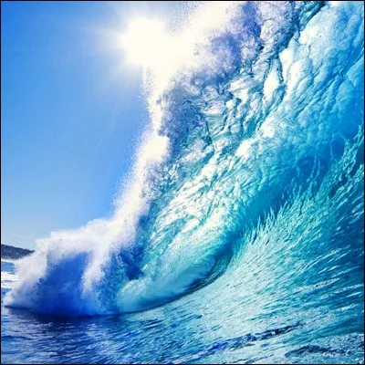 Quel film musical, remake du film "La Cage aux rossignols", inclut la chanson "Caresse sur l�oc&eacute;an" ?