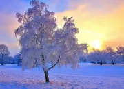 Test � quel point es-tu l'hiver ?