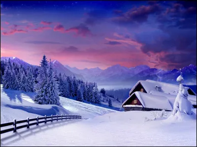 Quel plat d'hiver pr&eacute;f&egrave;res-tu ?