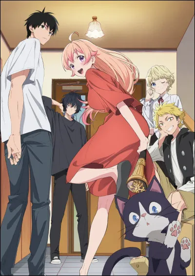 Qui est le plus beau ou la plus belle ?