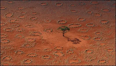 On raconte que ce sont des f&eacute;es qui forment ces cercles. Je suis donc venu en Afrique australe les admirer. O&ugrave; suis-je ?