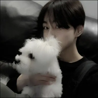 A-t-il un animal de compagnie ?