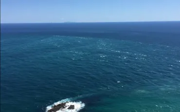 Quiz Culture g�n�rale