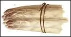 Comment se nomme cette asperge cultive en Gironde ?