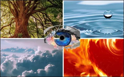 Quel est ton &eacute;l&eacute;ment pr&eacute;f&eacute;r&eacute; ?