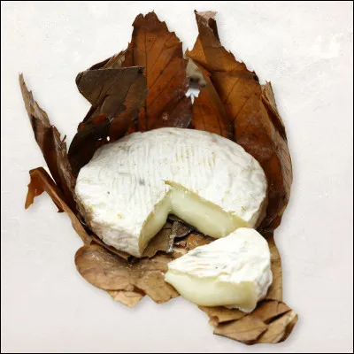 Je vous demande de d&eacute;crire ce fromage originaire du Mont Ventoux (derri&egrave;re Toulon), et nomm&eacute; ''banon'' :