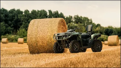 Quelle est la plus grosse production agricole de l�Espagne ?