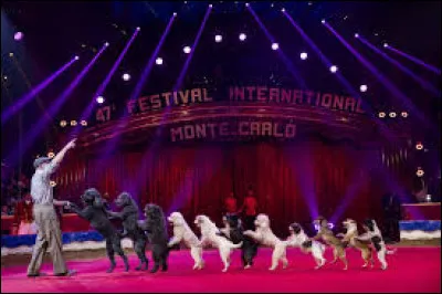 Quelle r&eacute;compense est d&eacute;cern&eacute;e au festival international du cirque de Monte-Carlo ?