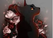 Quiz Connais-tu bien Pelage de Brume ''LGDC'' ?