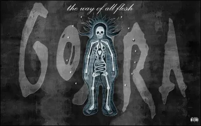 Qui chante "Mistral gagnant" ?