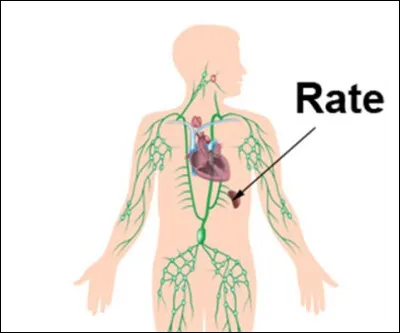 Et si on remontait un peu le temps, je suis s&ucirc;r que certaines et certains d'entre vous y prendront un plaisir dilatoire !
