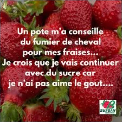 Quand on dit ''ram&egrave;ne ta fraise'', de quelle partie du corps parle-t-on ?