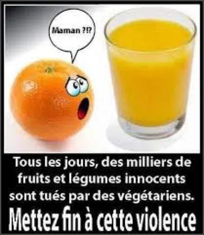 Avec six millions de tonnes export&eacute;es par an, quel est le premier producteur d'oranges au monde ?