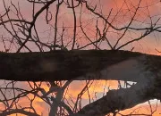 Quiz L'expression est dans le quiz