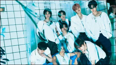 Quelle est l'ann&eacute;e de d&eacute;but de Stray Kids ?